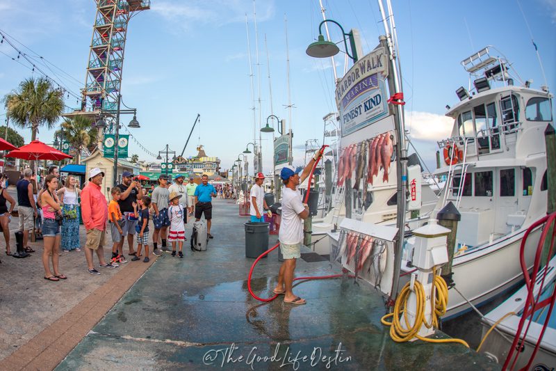 Families watching the fishing boats on Destin Harbor 