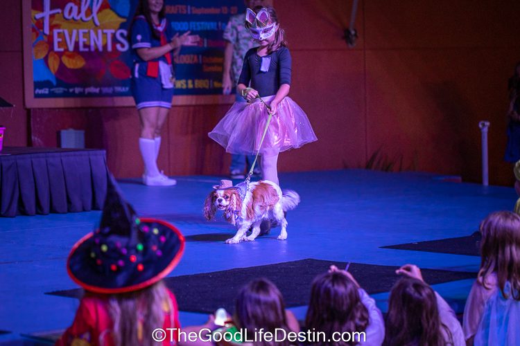 A girl in costume walks her dog across the stage at Harborwalk Village during Halloween