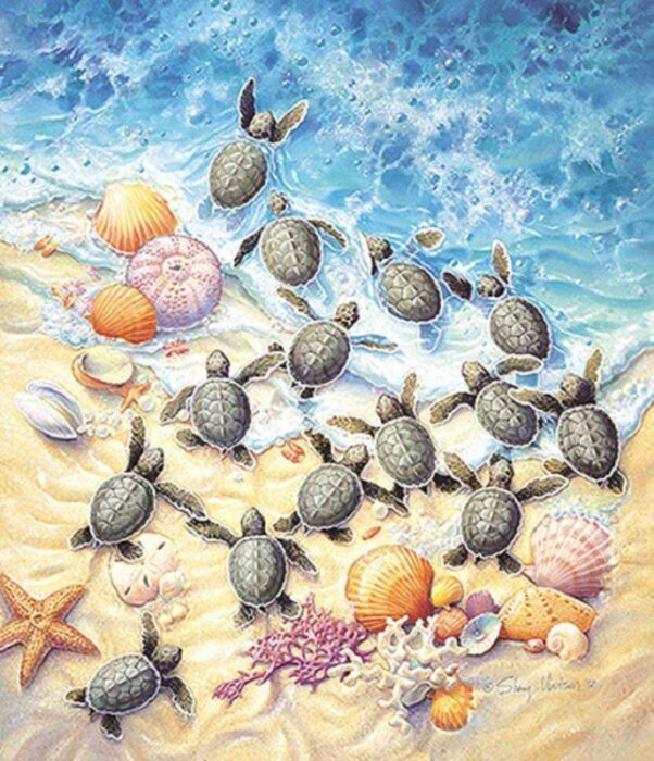 Sea Turtle Baby Hatchlings headed for the ocean in this puzzle 