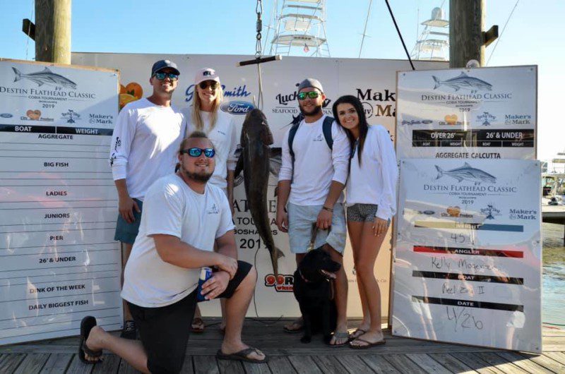Cobia Weigh Ins at Boshamps in Destin in April