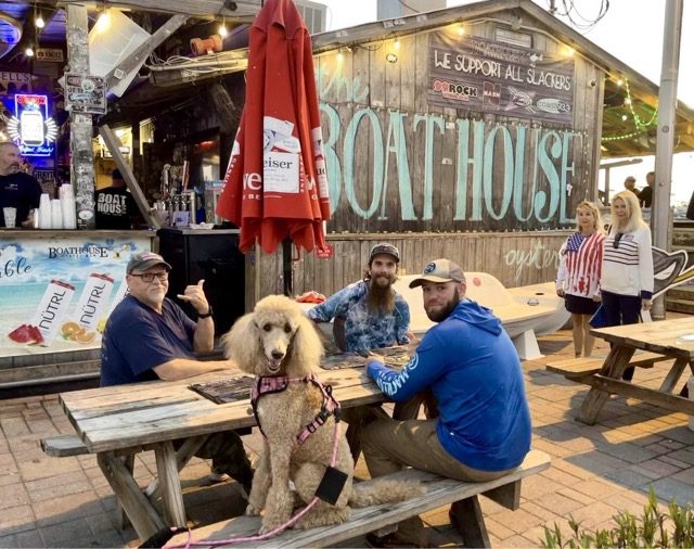Dogs on the patio tables at the Boathouse Oyster Bar on Destin Harbor
