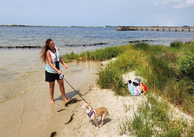 Lady walking her small dog at the beach at Liza Jackson Dog Park