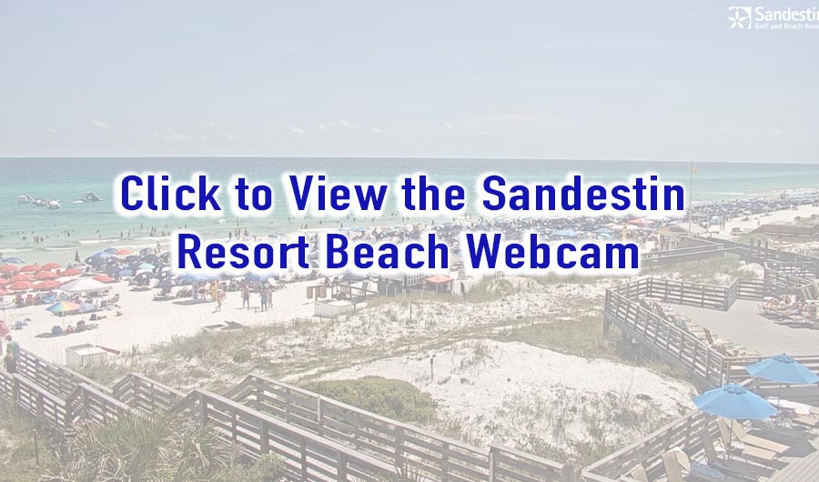 Destin Beach Cameras at Sandestin Golf and Beach Resort in Miramar Beach