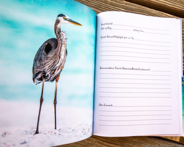 Blue Heron Photo in Destin Florida Photography Guest Book