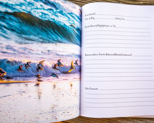 Sandpipers on beach photo in Destin Florida Photography Guest Book