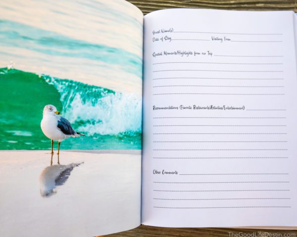 Seagull on Beach photo in Destin Florida Photography Guest Book