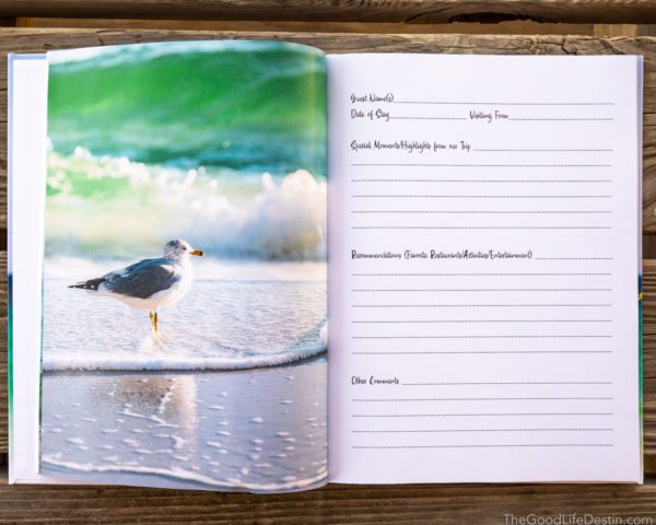 Seagull photo in Destin Florida Photography Guest Book