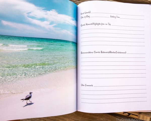 Seagull walking on beach photo in Destin Florida Photography Guest Book