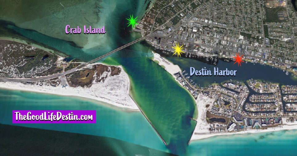 Crab Island in Destin 2024 Ultimate Visitor's Guide The Good Life Destin