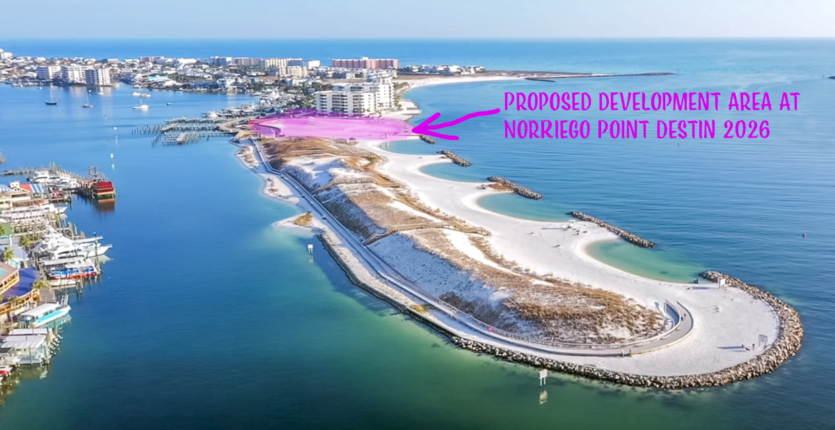 Aerial view of Norriego Point in Destin, Florida showing the completed park, existing boat docks, and the adjacent undeveloped sand area highlighted for proposed future development.