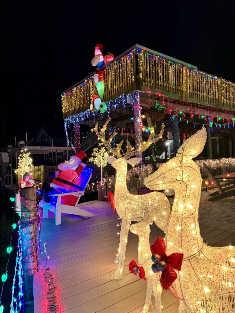 Christmas Lights in Destin